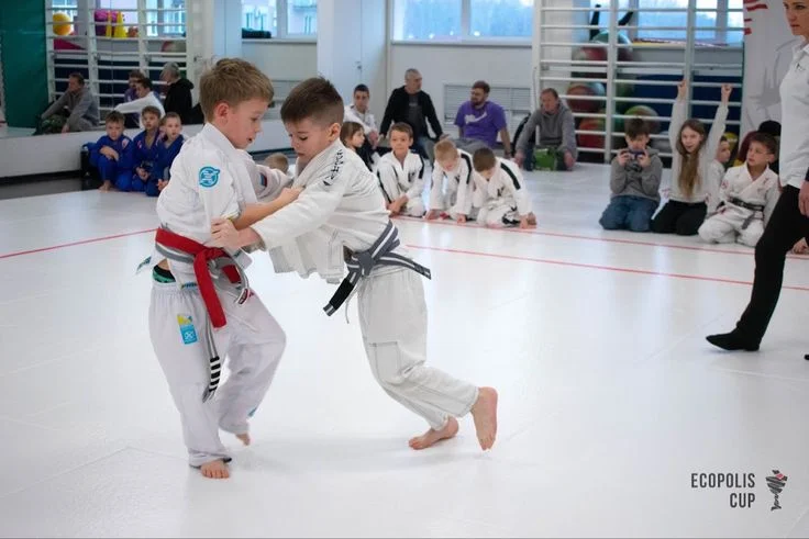 Tao Jiu Jitsu Academy . coaching listing photo for TAO Jiu Jitsu Academy